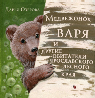 Медвежонок Варя и другие обитатели ярославского лесного края. Дарья Озерова