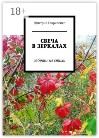 Дмитрий Гавриленко. Свеча в зеркалах. Избранные стихи