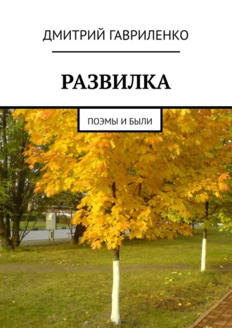 Дмитрий Гавриленко. Развилка. Поэмы и были