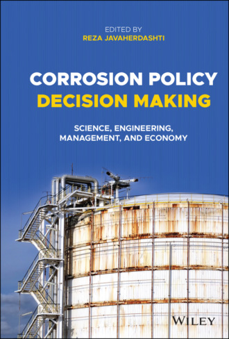 Группа авторов. Corrosion Policy Decision Making