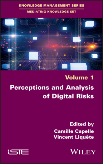 Группа авторов. Perceptions and Analysis of Digital Risks