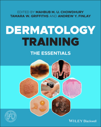 Группа авторов. Dermatology Training