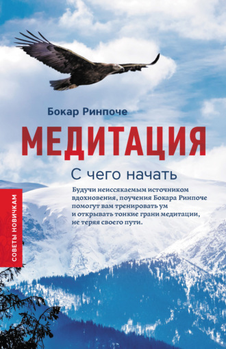 Медитация. С чего начать. Советы новичкам. Бокар Ринпоче