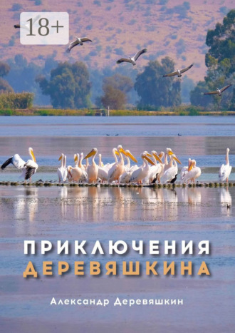 Приключения Деревяшкина. Александр Деревяшкин