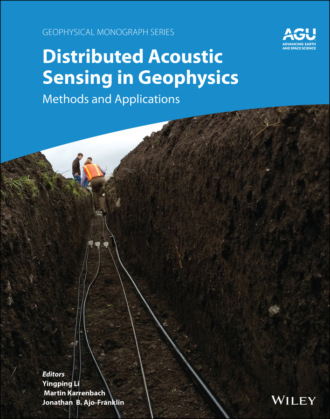 Группа авторов. Distributed Acoustic Sensing in Geophysics