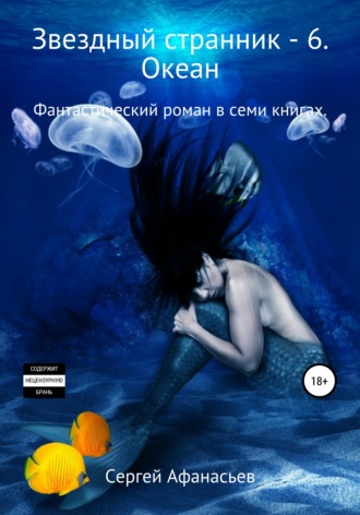 Звездный странник – 6. Океан. 