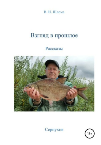 Взгляд в прошлое. Владимир Иванович Шлома