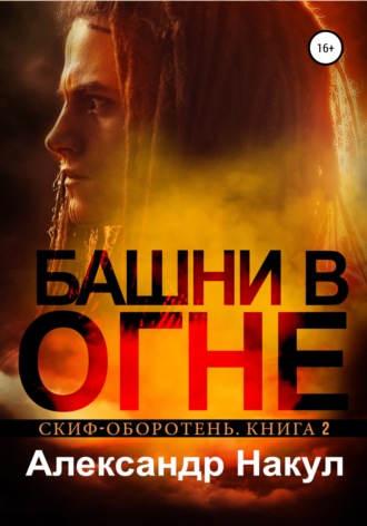 Башни в огне. Александр Накул