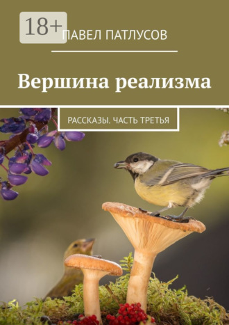 Вершина реализма. Рассказы. Часть третья. Павел Патлусов