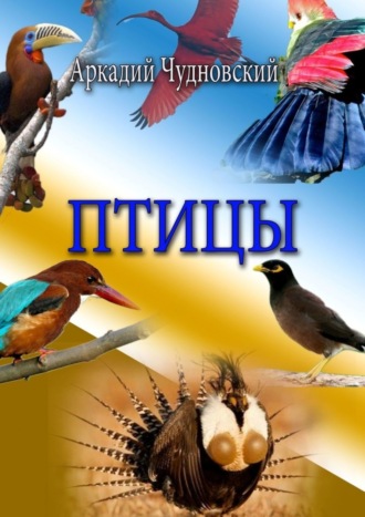 Аркадий Чудновский. Птицы