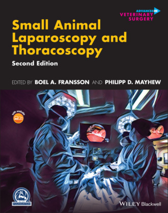 Группа авторов. Small Animal Laparoscopy and Thoracoscopy