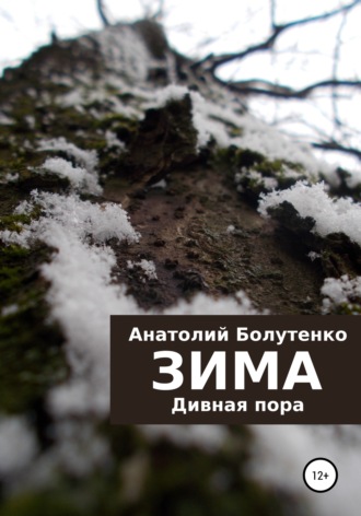 Зима. Дивная пора. 