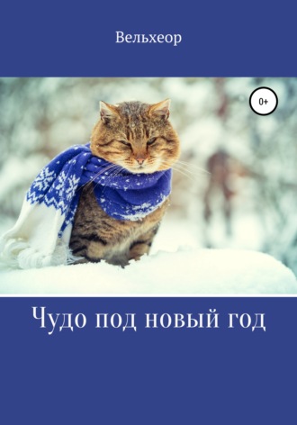 Вельхеор. Чудо под новый год