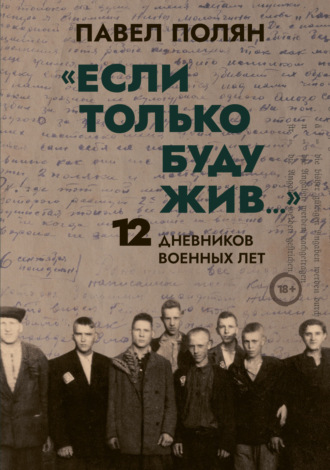 «Если только буду жив…» 12 дневников военных лет. 