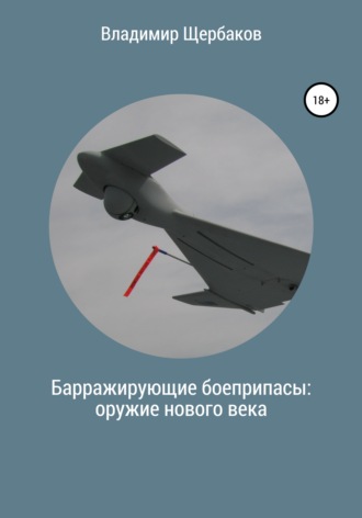 Владимир Щербаков. Барражирующие боеприпасы: оружие нового века