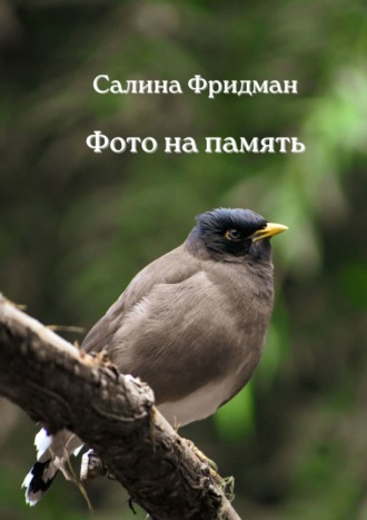 Фото на память. Салина Фридман