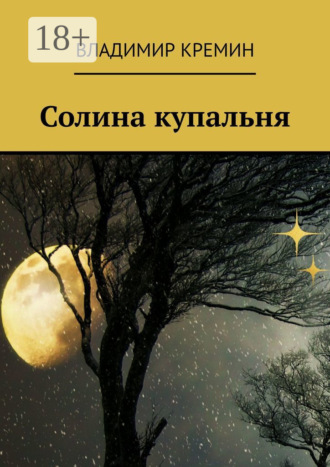 Владимир Кремин. Солина купальня