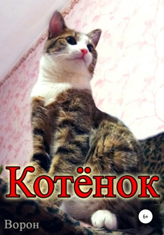 Котёнок. 