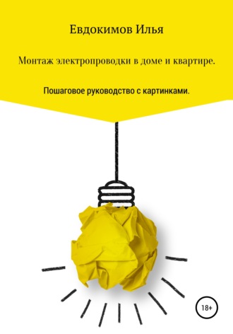 Монтаж электропроводки в доме и квартире. Пошаговое руководство.. Илья Андреевич Евдокимов