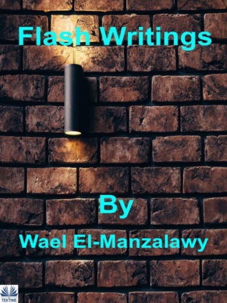 Wael El-Manzalawy. Flash Writings