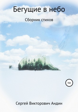 Бегущие в небо. Сергей Викторович Андин
