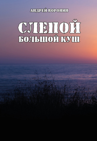 Слепой. Большой куш. 