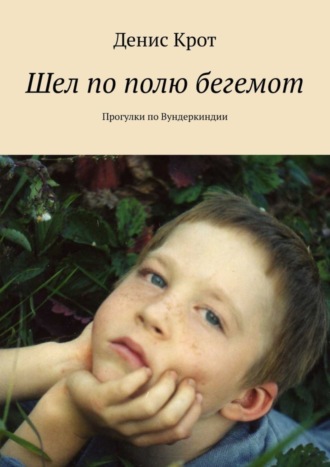 Денис Крот. Шел по полю бегемот. Прогулки по Вундеркиндии