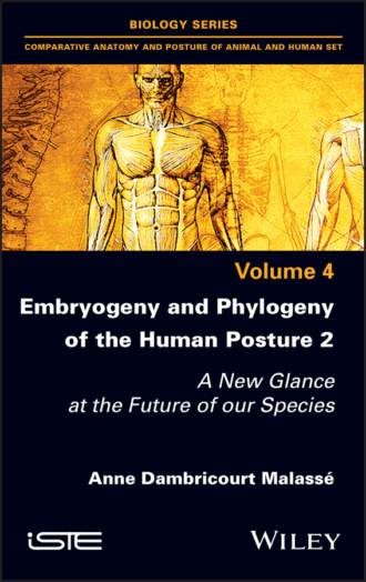 Anne Dambricourt Malasse. Embryogeny and Phylogeny of the Human Posture 2