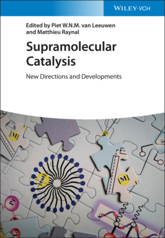 Группа авторов. Supramolecular Catalysis