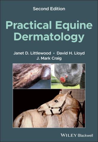David H. Lloyd. Practical Equine Dermatology
