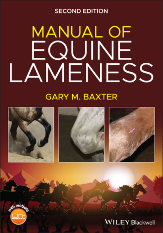 Manual of Equine Lameness. 