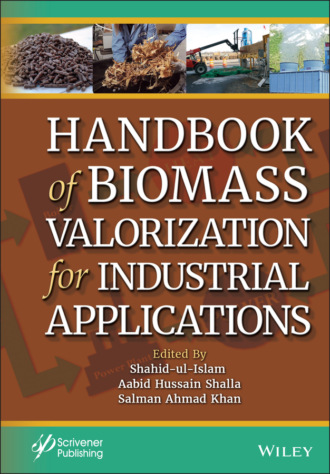 Группа авторов. Handbook of Biomass Valorization for Industrial Applications