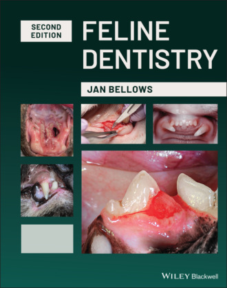 Jan Bellows. Feline Dentistry
