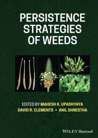 Группа авторов. Persistence Strategies of Weeds