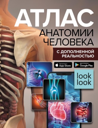 Атлас анатомии человека с дополненной реальностью. 