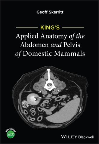 Geoff Skerritt. King's Applied Anatomy of the Abdomen and Pelvis of Domestic Mammals