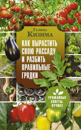 Галина Кизима. Как вырастить свою рассаду и разбить правильные грядки