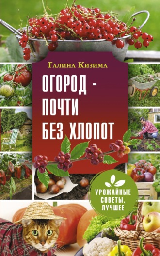 Галина Кизима. Огород – почти без хлопот