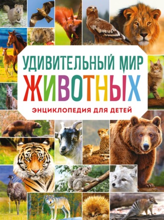 Наталия Баранова. Удивительный мир животных. Энциклопедия для детей