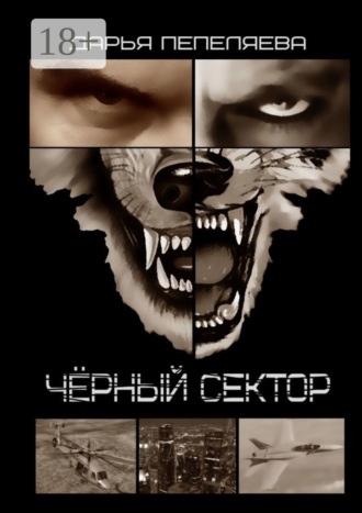 Чёрный сектор. Дарья Пепеляева