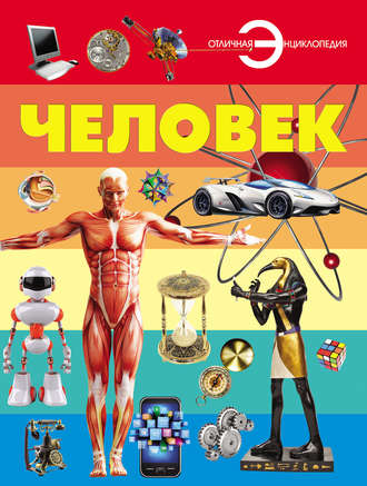 Человек. 