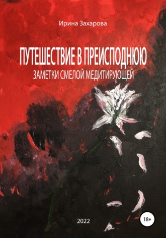 Ирина Владимировна Захарова. Путешествие в Преисподнюю. Заметки смелой медитирующей