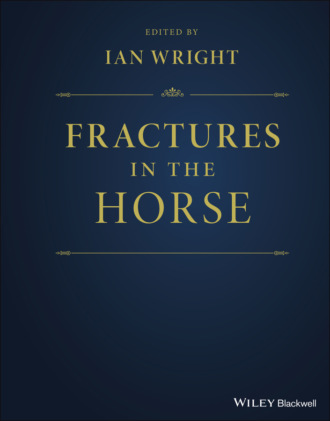 Группа авторов. Fractures in the Horse