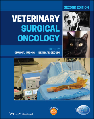 Группа авторов. Veterinary Surgical Oncology