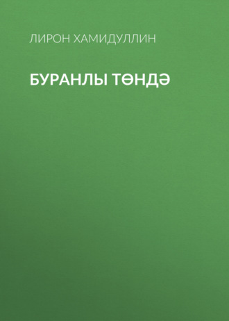 Лирон Хамидуллин. Буранлы төндә