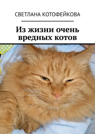 Светлана Котофейкова. Из жизни очень вредных котов