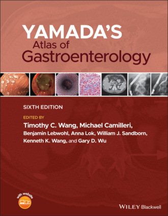 Группа авторов. Yamada's Atlas of Gastroenterology
