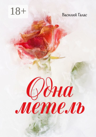 Одна метель. Василий Галас