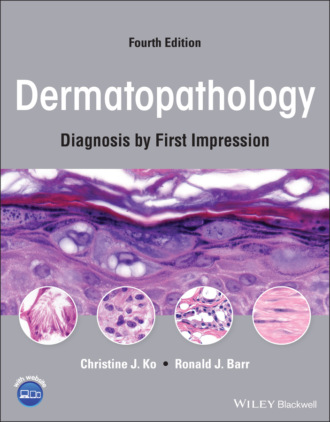 Dermatopathology. Christine J. Ko
