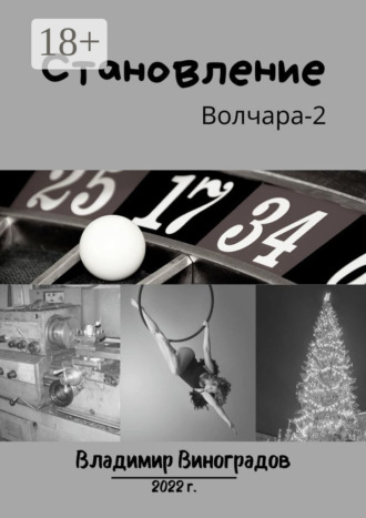 Владимир Виноградов. Становление